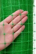 Сетка защитная от птиц «Клевер» Птичка 1.5м х 10м, ячейка 30x35мм, зеленая - вольерная пластиковая сетка для ограждения, сада - изображение 3