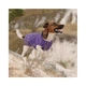 Жилет Pet Fashion E.Vest для собак фиолетовый XS 4823082424191 - изображение 3