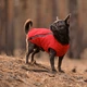 Жилет Pet Fashion E.Vest для собак красный XS-2 4823082424443 - изображение 3