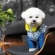 Костюм Pet Fashion TENDER для собак біло-блакитний M 4823082427635 - зображення 6
