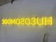 Неоновая вывеска Зоомагазин 850x85 Лимон-желтый - изображение 4