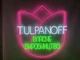 Неоновая вывеска Tulpanoff 770x730 Комбинированный - изображение 7