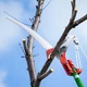 Телескопический сучкорез высоторез пила 2в1 с длинной ручкой пилка секатор для обрезки веток и деревьев - изображение 3