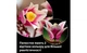 Конструктор Lego Botanicals Гілки магнолії, 435 деталей 11510 - зображення 5