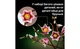 Конструктор Lego Botanicals Гілки магнолії, 435 деталей 11510 - зображення 6