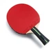 Ракетка для настольного тенниса Butterfly Ovtcharov Expert FL Red/Black (1073-931838) - изображение 2