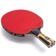 Ракетка для настольного тенниса Butterfly Timo Boll Force FL Red/Black (1073-931843) - изображение 4