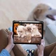 Чехол для планшета BeCover Soft Edge TPU для Apple iPad Air 11" M4 2026 с креплением для стилуса Apple Pencil Gray (BC_715258) - изображение 5