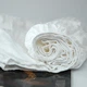 Простирадло на резинці Moon&Star Royal White Satin Stripe 120х190х25 см (MS-850005327) - изображение 4