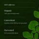 Моринга Kiki Health Organic Moringa Leaf 500 мг 120 капсул (5060018514659) - зображення 4