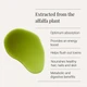 Хлорофіл Kiki Health Liquid Chlorophyll 250 мл (5060018515021) - зображення 4