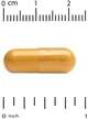Куркумін Doctor's Best 1000 мг 120 капсул (753950001077) - зображення 3