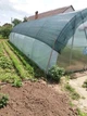 Сітка затіняюча 60% УФ-стаб. для захисту рослин від сонця 50х12 м Темно-зелений - зображення 4