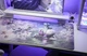 Ігрова поверхня GravaStar SAKURA, XL (900х450х3мм) WHITE/БІЛИЙ (GSA8_MPD_SAKURA) - зображення 4