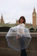 Зонт-трость женский Fulton Birdcage-2 L042 London Icons (Иконки) - изображение 3