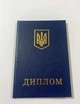 Бланк диплом кваліфікованого працівника темно-синій 10.5х15.8 см - зображення 1