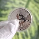 Сувенирная серебристая монета Биткоин (Bitcoin, BTC) на подарок в капсуле - изображение 7