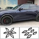 Карбоновые накладки на передние крылья (2013-2017) для Maserati Quattroporte - изображение 1