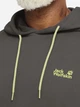 Худи мужское Jack Wolfskin Celebratehe Paw Hoody A65904-T0404 XL Коричневое (4064886664820) - изображение 5
