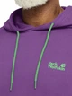 Худи мужское Jack Wolfskin Celebratehe Paw Hoody A65904-T0406 M Фиолетовое (4064886664325) - изображение 4