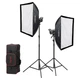 Комплект постоянного света Godox SL60IIBi KIT (с софтбоксами и сумкой) - изображение 1