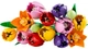 Конструктор LEGO Botanicals Букет тюльпанів 576 деталей (11501) - зображення 7