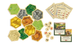 Настільна Гра CATAN - зображення 6