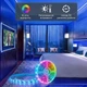 Светодиодная лента RGB Smart LED умная светодиодная лента с блютуз управлением цветная подсветка самоклеящаяся гибкая светодиодная лента с Bluetooth управлением и пультом ДУ 2х10м Kayfovo RLS-20 - изображение 2