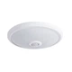 Потолочный светильник Kanlux FOGLER LED 14W-NW 18121 - изображение 1