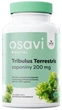 Трибулус Osavi Tribulus Terrestris Saponiny 200 мг 120 капсул (5904139923351) - зображення 1