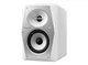 Студийный монитор Pioneer VM-50-W - изображение 3