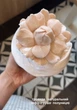 Силиконовая форма для зефира и др Роза 29 - изображение 3