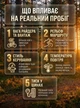 Электровелосипед мощный фетбайк для взрослых велосипед электрический мужской с дисплеем на аккумуляторе с двумя двигателями фарой крыльями fatbike дисковые тормоза амортизация для города села бездорожье Shimano 2000W 48V 23Ah K800 KETELES Черный 73502 - изображение 5