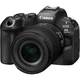Беззеркальный фотоаппарат Canon EOS R6 Mark III kit (24-105mm) IS STM (7084C031) - изображение 2