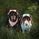 Панама для собак Hat-Dog M - рожевий - изображение 5