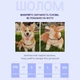 Шолом звукоізоляційний для собак Hat-Dog XL - чорний - изображение 5