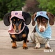 Панама для собак Hat-Dog M - блакитний - изображение 8