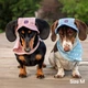 Панама для собак Hat-Dog L - блакитний - изображение 8