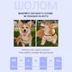 Шолом звукоізоляційний для собак Hat-Dog XS - чорний - изображение 5