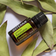 Эфирное масло Лимонный эвкалипт DoTerra Lemon Eucalyptus ,15 мл - изображение 1