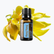 Эфирное масло Иланг-иланг DoTerra Ylang Ylang,15 мл - изображение 2