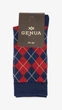 Шкарпетки чоловічі GENUA 2606.43-46 43-46 Синій shop (2000999543289) - зображення 3