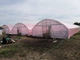 Теплица Экстра 50 х 8 х 3.35 м Под 1 Слой Пленки - изображение 6