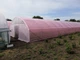Теплица Экстра 10 х 8 х 3.35 м Под 1 Слой Пленки - изображение 8