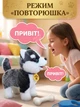 Интерактивная детская мягкая игрушка собака повторюшка хаски для детей щенок поёт ходит реагирует на прикосновение виляет хвостиком с поводком и мисочкой с косточкой - изображение 5