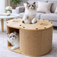 Картонная когтеточка-дралка, домик, лежак для кошек — 57x39,5x25 см KOT31 - изображение 1