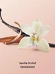 Скраб для тіла Victoria's Secret Vanilla Orchid Sandalwood Body Scrub, 216 г. - изображение 3