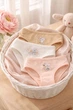 Детские хлопковые трусы слип 3шт для девочки Baykar р 3 122-128 см 5-6 лет арт 5742-99 Крошка Енот - изображение 1
