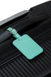 Бірка На Валізу (2 Шт.) American Tourister AMERICAN TOURIST. TA JELLY MINT 8x5,5x0,1 MF3*34002 - зображення 4