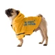 Дощовик для собак Noble Pet Moss Bravery M - зображення 3